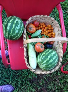 Harvest from the Lazy E